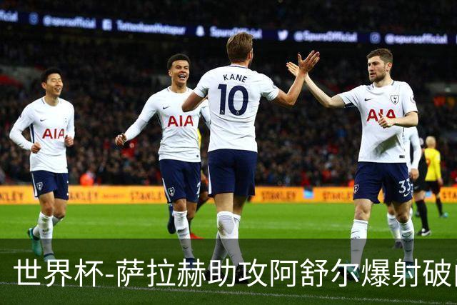世界杯-萨拉赫助攻阿舒尔爆射破门 埃及半场1-0比利时